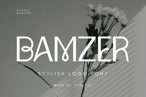 Bamzer: A Modern Sans Serif Font for Professional Branding