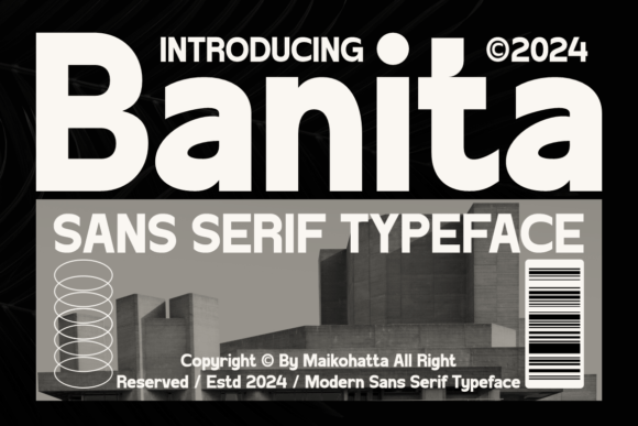 Banita: A Modern Sans Serif Font for Digital Marketing