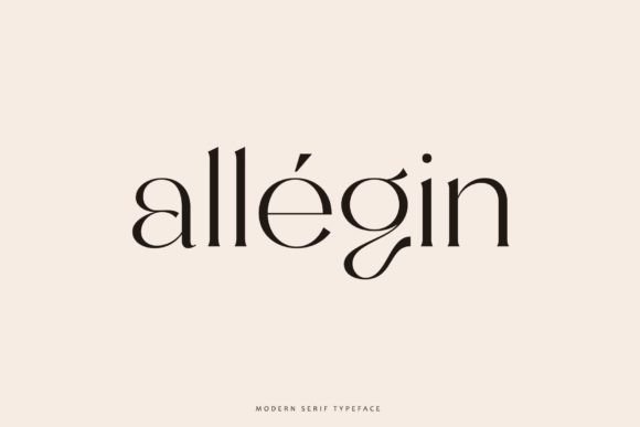 How Allegin Transformed My Brand's Visual Identity
