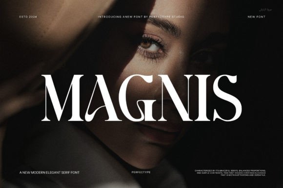 Magnis Serif Font for Modern Web Design