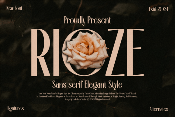 Rioze: A Modern Sans Serif Font for Web Design
