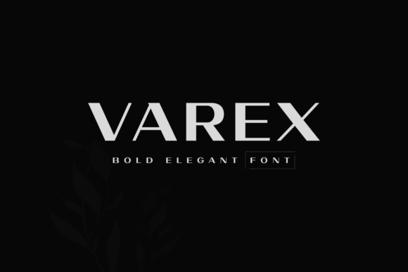 Varex Font Review: A Sleek Sans Serif for Modern Branding